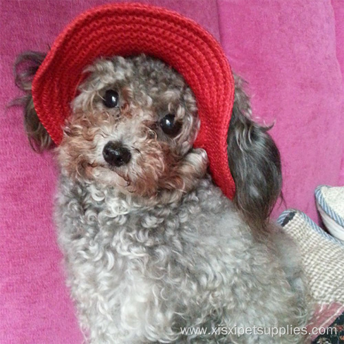 Princess Cap Mesh Pet Hat with Ear Holes
